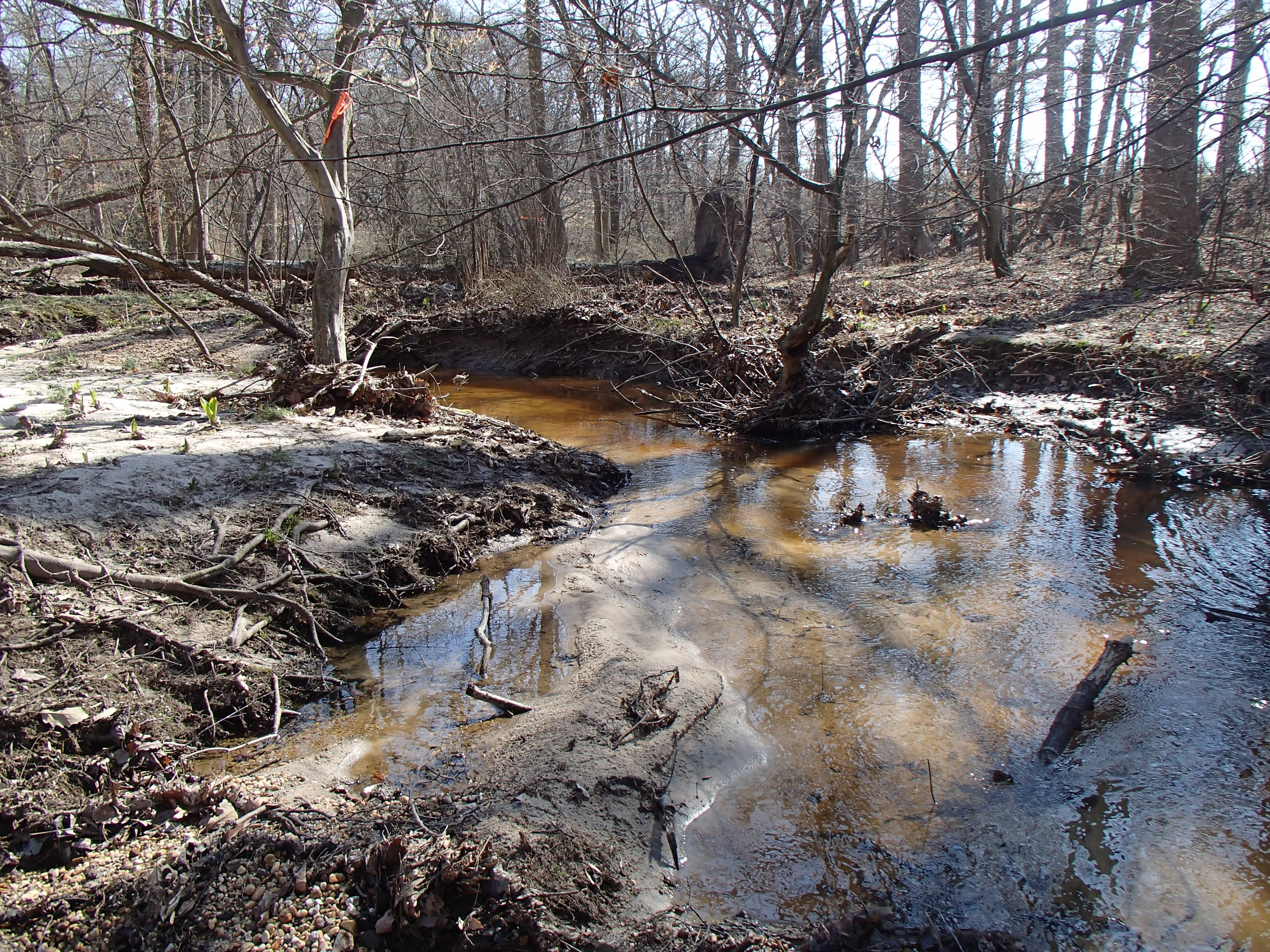 Field photo showing stream conditions at site TUCK-203-R-2016_midpoint looking downstream
